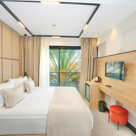 Aylin * 말마리스